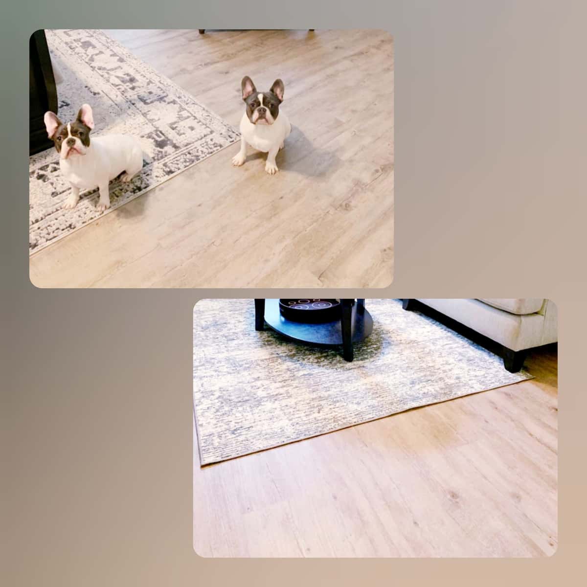 Commercial-Grade Vinyl Plank Install — Marietta 2nd Floor — Luxury Vinyl Plank by Final Floors LLC in Marietta, Georgia